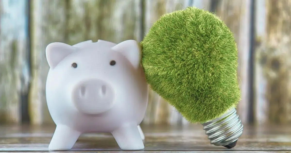 Jak na udržitelné investování a přístup k životu